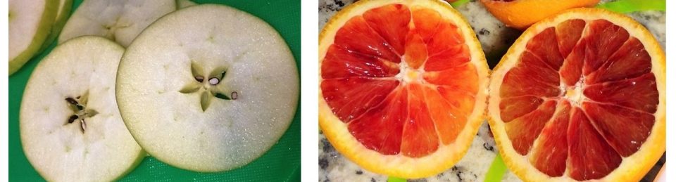 Del Cilantro al Chocolate